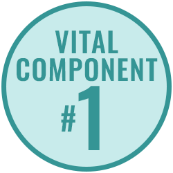 Vital Component 1