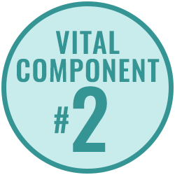 Vital Component 2