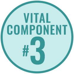 Vital Component 3