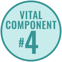 Vital Component 4